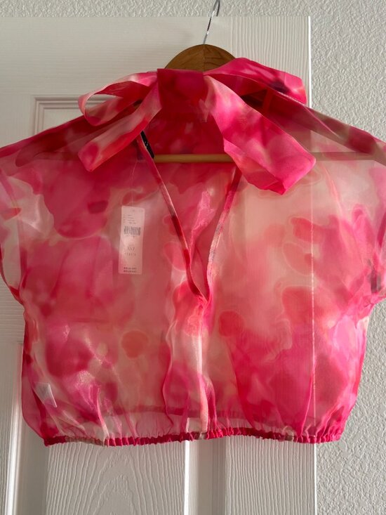 Sunday in Brooklyn Sheer Tie-Neck Blouse - Picture 6 of 7